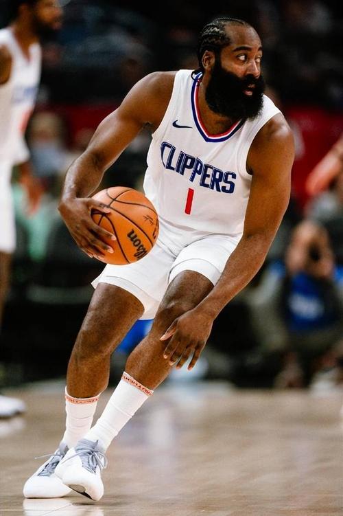 引发众怒，电讯报：摩洛哥为承办国际赛事大规模捕杀流浪狗（电讯报：摩洛哥为办国际赛事大规模捕杀流浪狗，激起公愤）